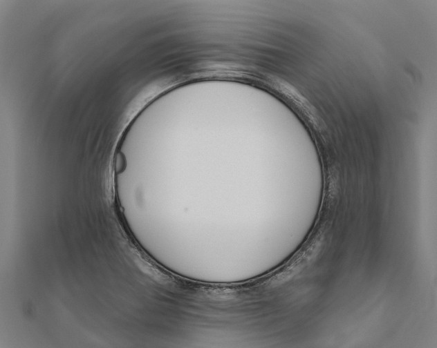 X0000111591370200908131331