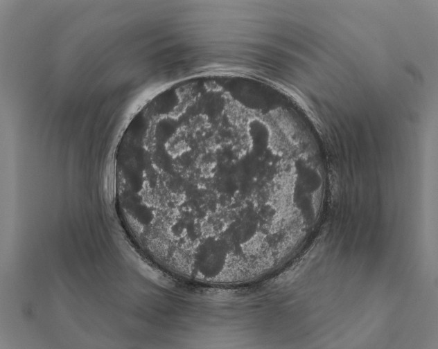 X0000111591371200908131331