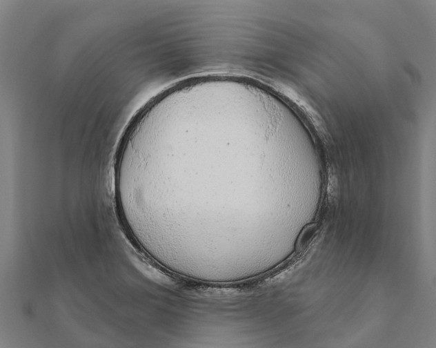 X0000111591372200908131331