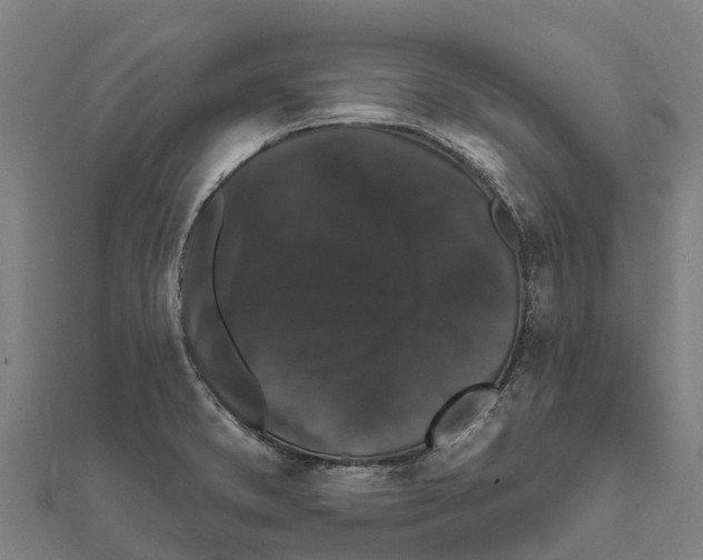 X0000111591373200908131331