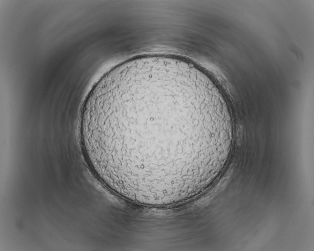 X0000111591374200908131331