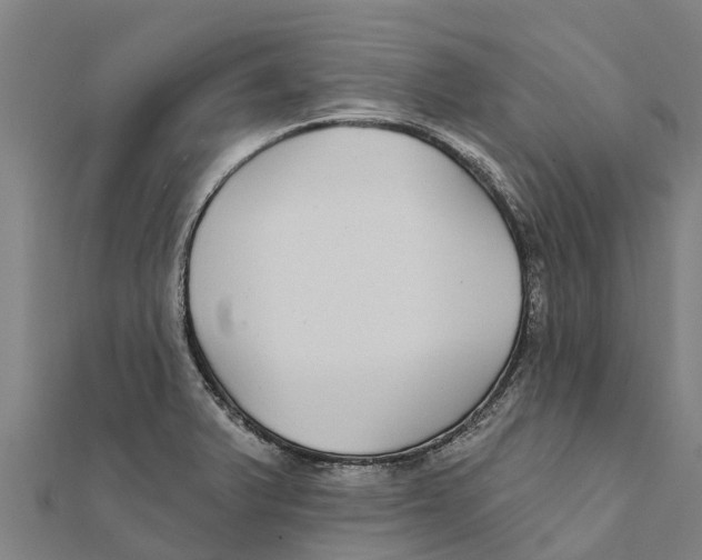 X0000111591375200908131331