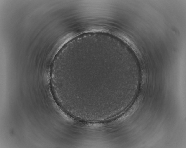 X0000111591377200908131331