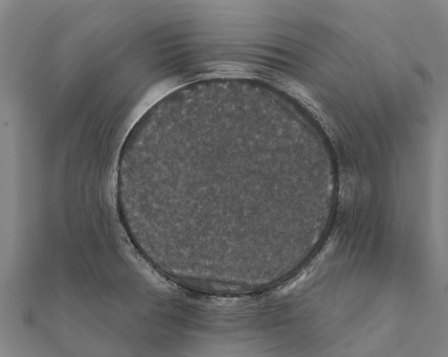 X0000111591378200908131331
