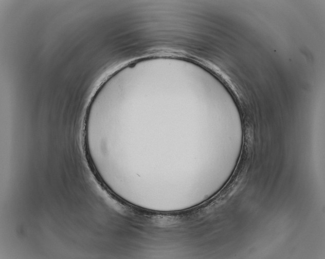 X0000111591379200908131331