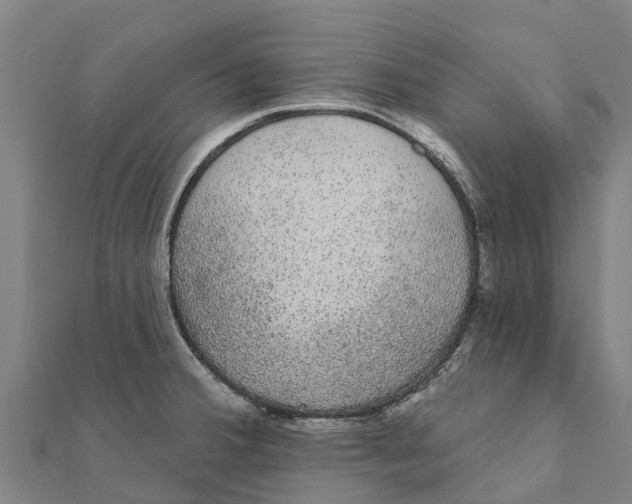 X0000111591380200908131331