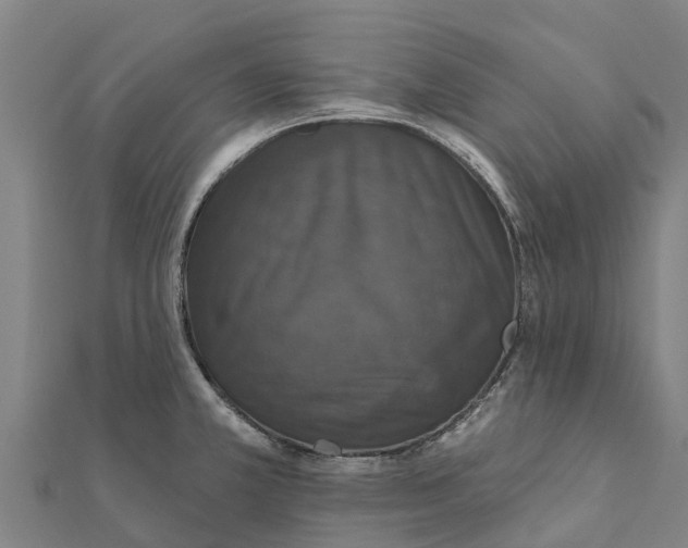 X0000111591381200908131331