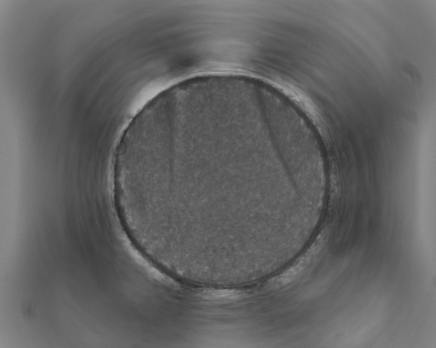 X0000111591382200908131331