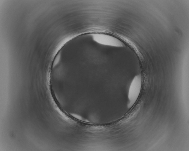 X0000111591383200908131331
