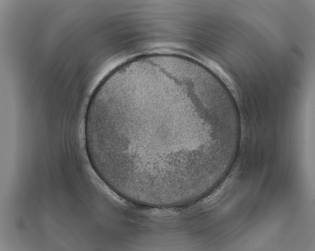 X0000111591384200908131331