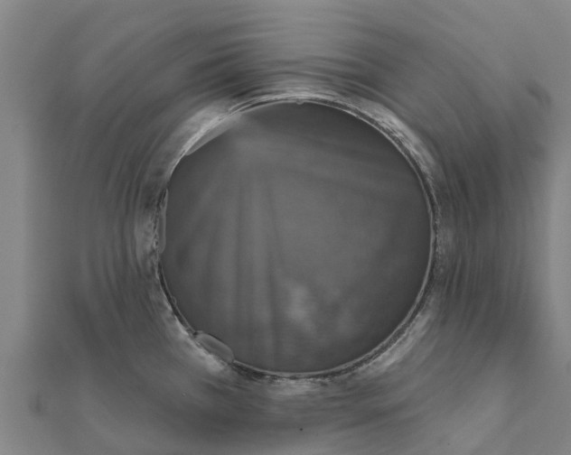 X0000111591385200908131331