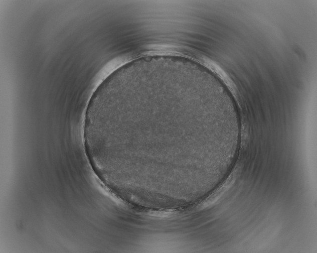 X0000111591386200908131331