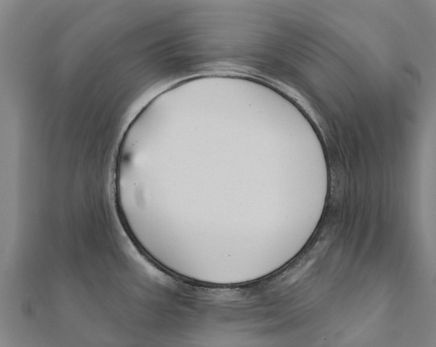 X0000111591387200908131331