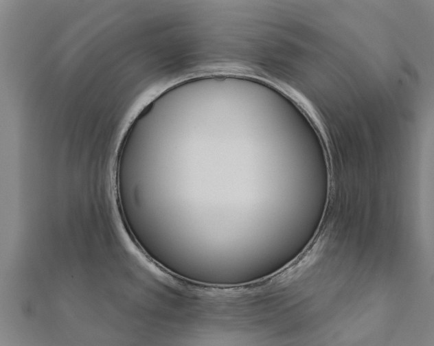 X0000111591389200908131331