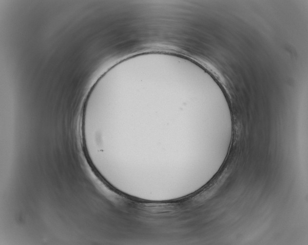 X0000111591391200908131331