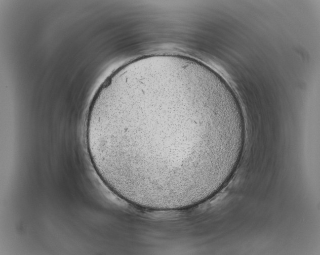 X0000111591392200908131331