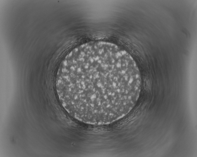 X0000111591393200908131330