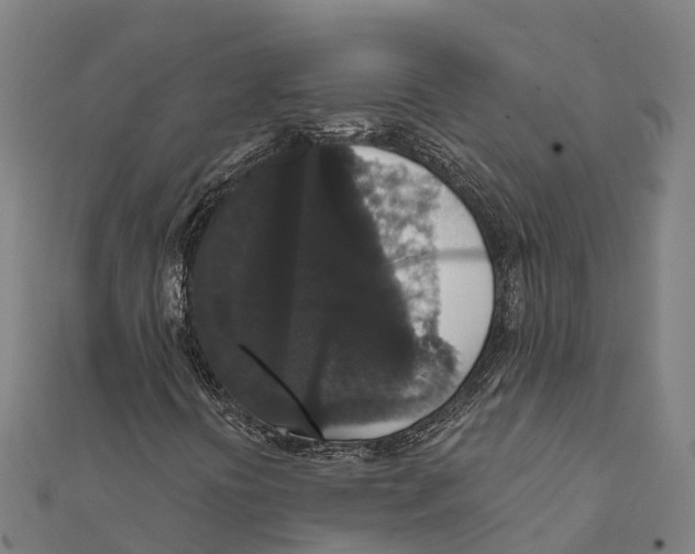 X0000111591394200908131330