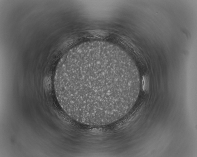 X0000111591395200908131330