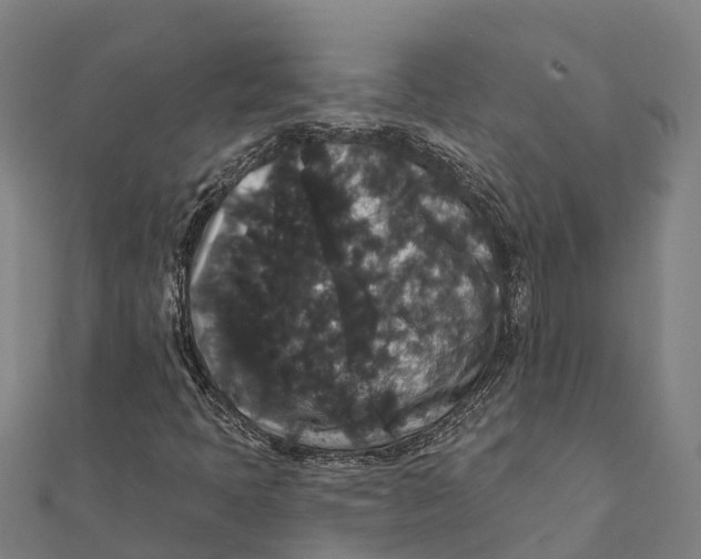 X0000111591397200908131330