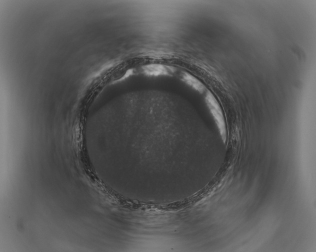 X0000111591398200908131330