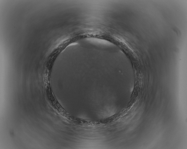 X0000111591399200908131330