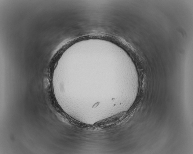 X0000111591400200908131330