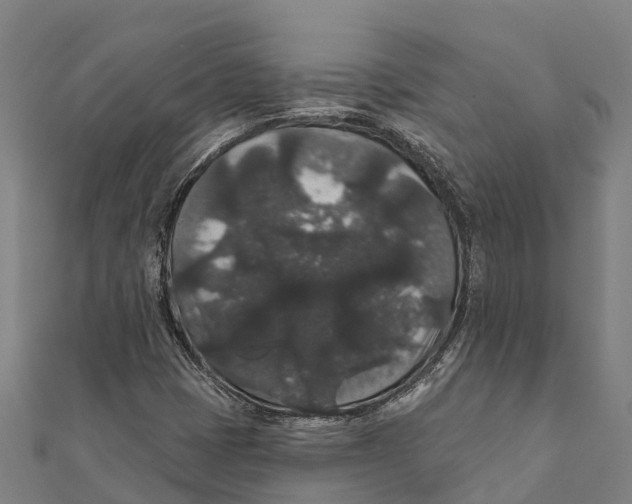 X0000111591401200908131330