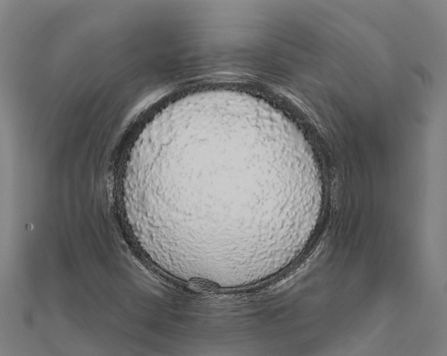 X0000111591402200908131330