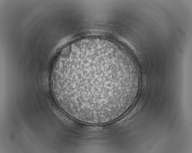 X0000111591403200908131330