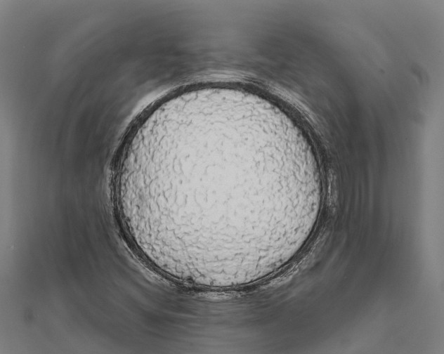 X0000111591404200908131330