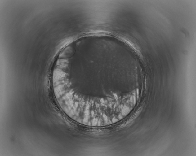 X0000111591405200908131330
