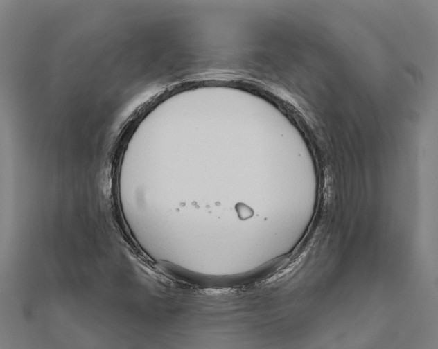 X0000111591406200908131330