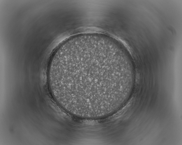 X0000111591407200908131330