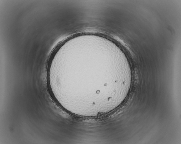 X0000111591408200908131330