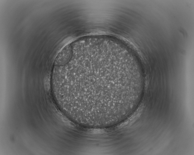 X0000111591409200908131330