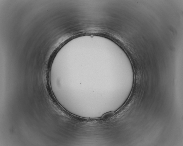 X0000111591410200908131330