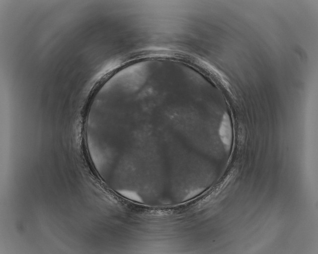 X0000111591411200908131330