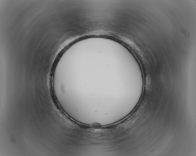 X0000111591412200908131330