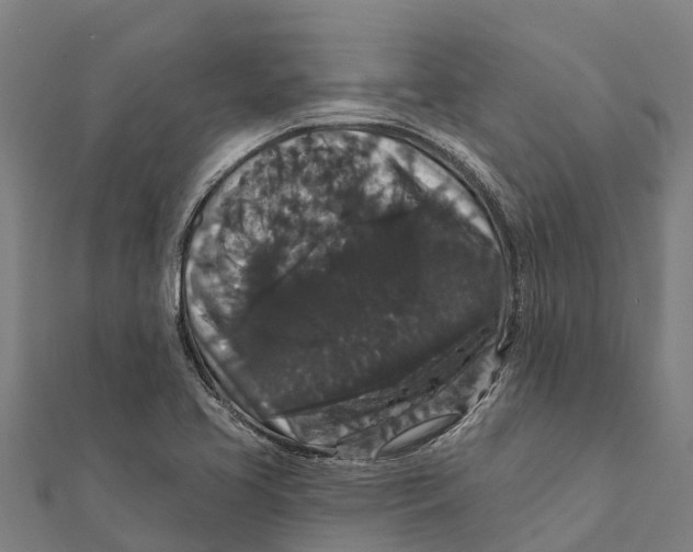 X0000111591413200908131330