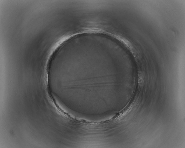X0000111591414200908131330