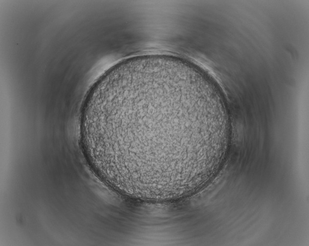X0000111591415200908131330