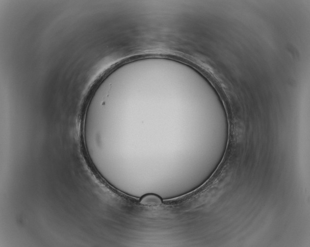 X0000111591416200908131330