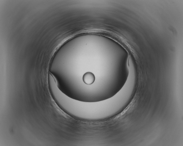 X0000111591417200908131330