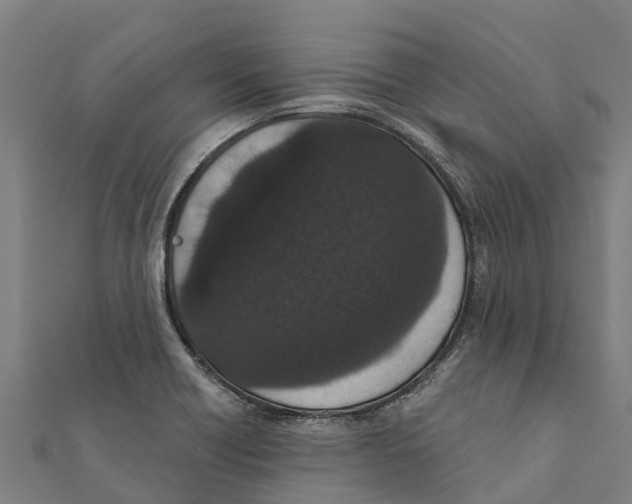 X0000111591418200908131330