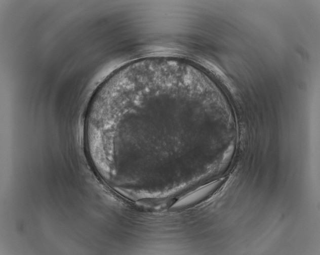 X0000111591419200908131330