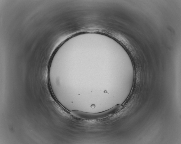 X0000111591420200908131330
