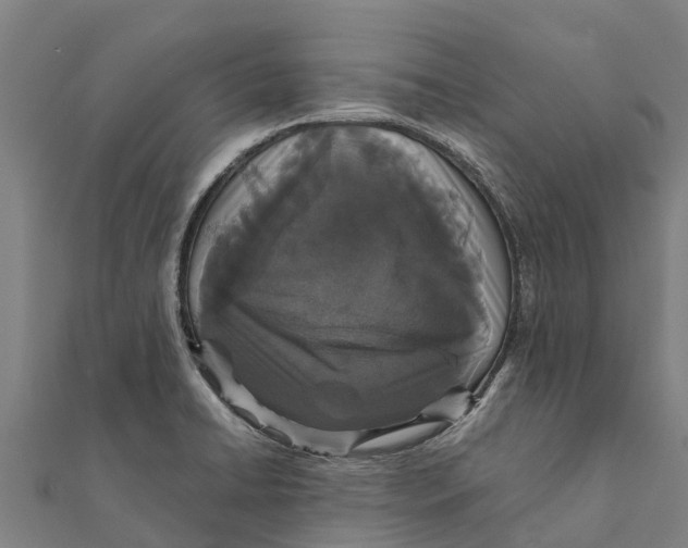 X0000111591422200908131330