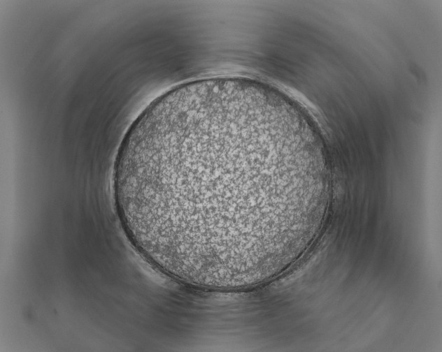 X0000111591423200908131330