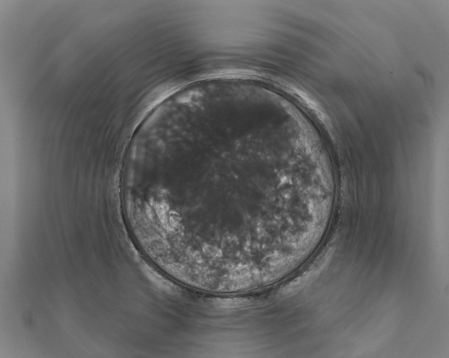 X0000111591425200908131330